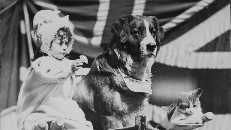 Me and My Two Friends (1898)